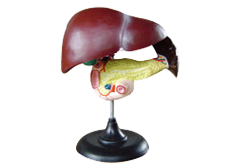 SD-093 33216ʮ֬cKģ